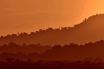 Foret de Guyane francaise a decouvrir